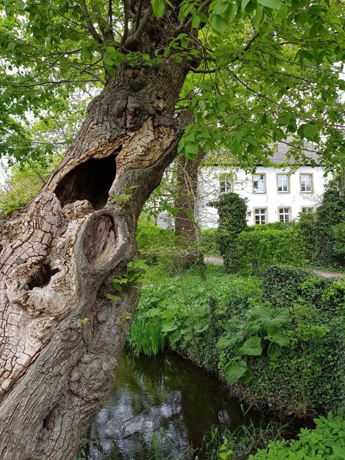 Ferienwohnung Varus Ostercappeln Dış mekan fotoğraf
